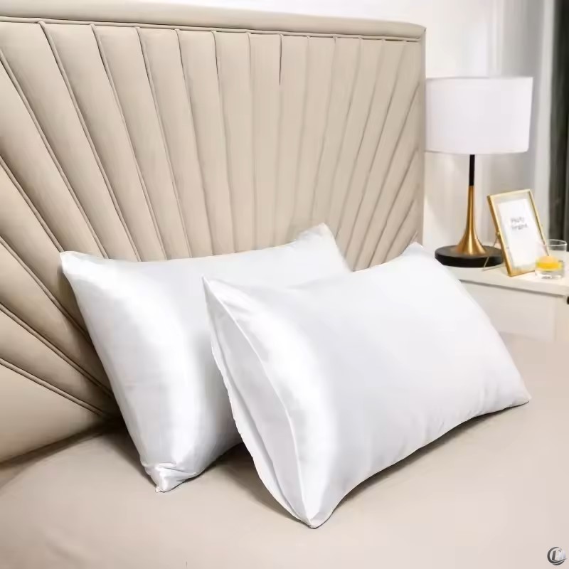 ปลอกหมอนผ้าไหมแท้ 100% จากใยไห - Silk Pillowcase บทวิจารณ์และราคา